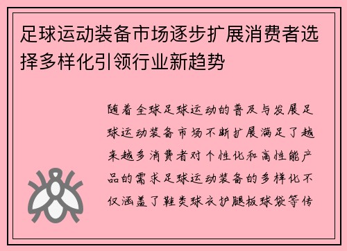 足球运动装备市场逐步扩展消费者选择多样化引领行业新趋势
